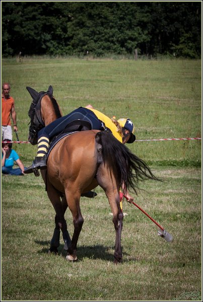Mounted Games 288